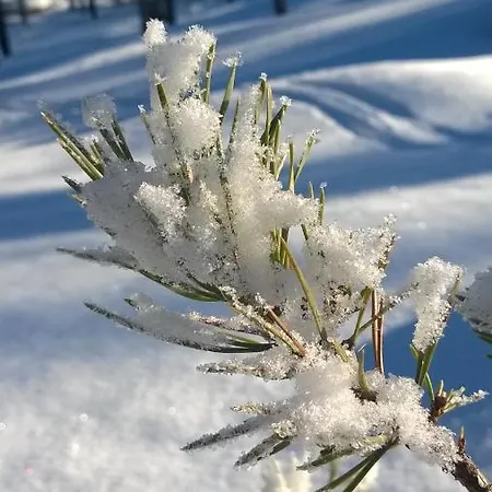 Lapin Lumilomat Äkäslompolo