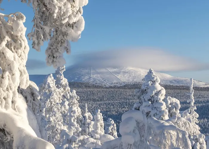 Lapin Lumilomat Dom wakacyjny *