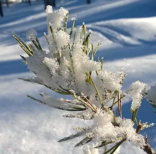 Lapin Lumilomat Äkäslompolo