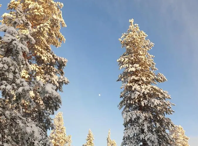 펜션 Lapin Lumilomat Äkäslompolo